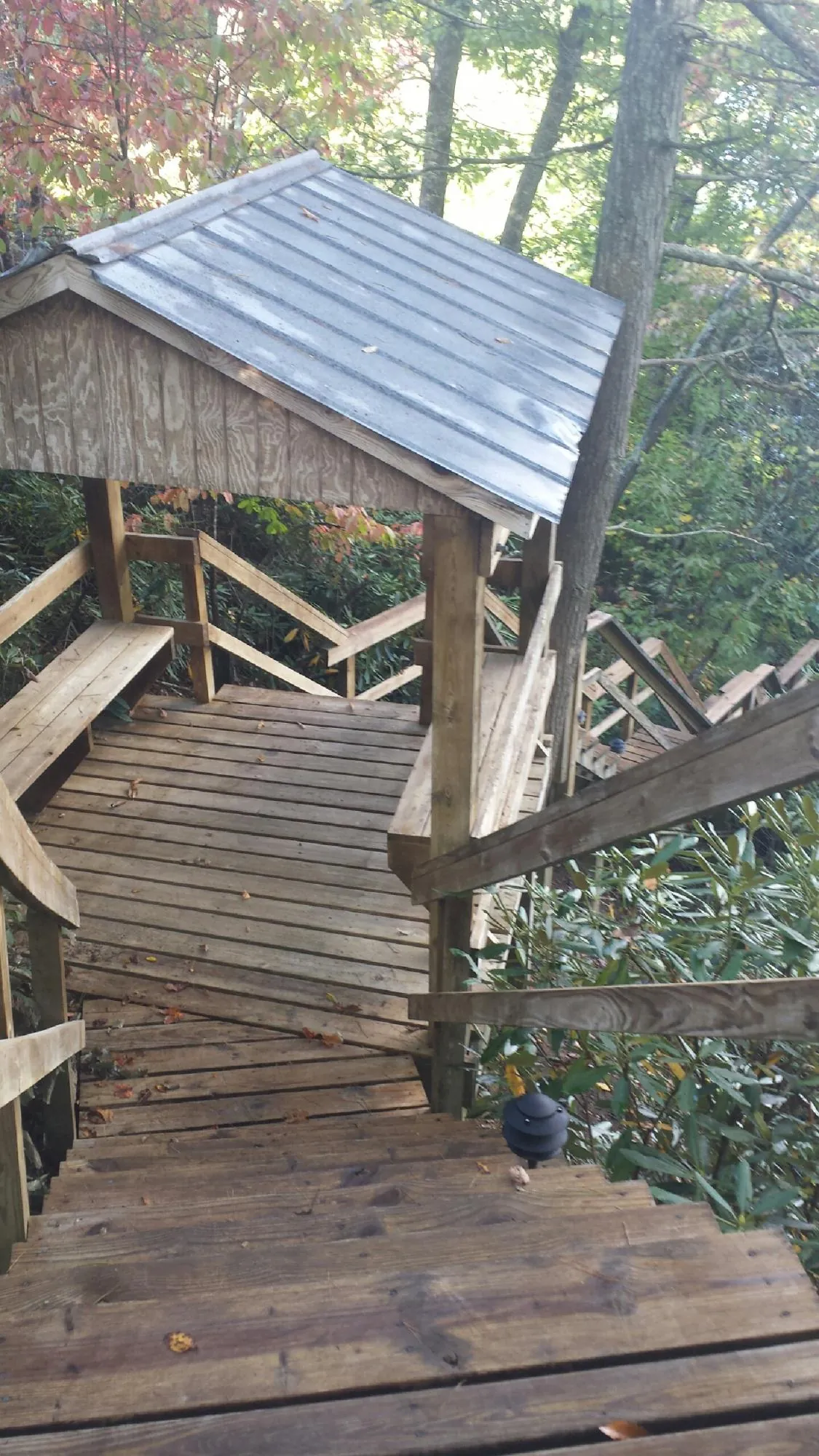 Metal roofed shelter over wooden steps on a wooded walkway — Skylight Repair & Installation work by our crew in Philomath