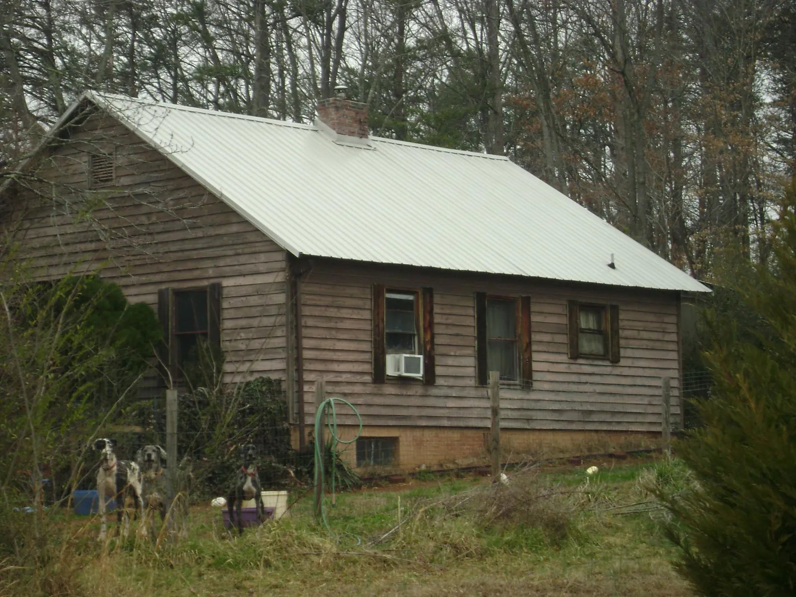 White metal roof on an old wood sided farmhouse, from a Asphalt Shingle Roof Repair job in Philomath